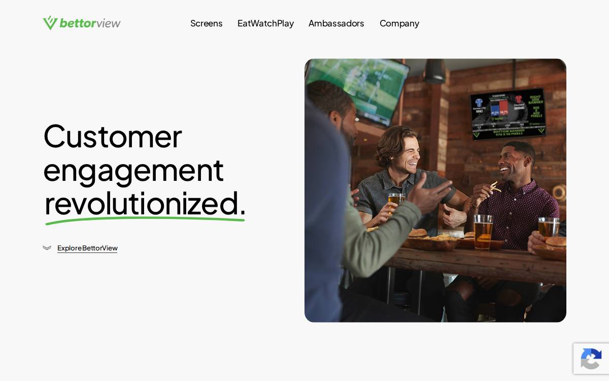 Bettorview website preview