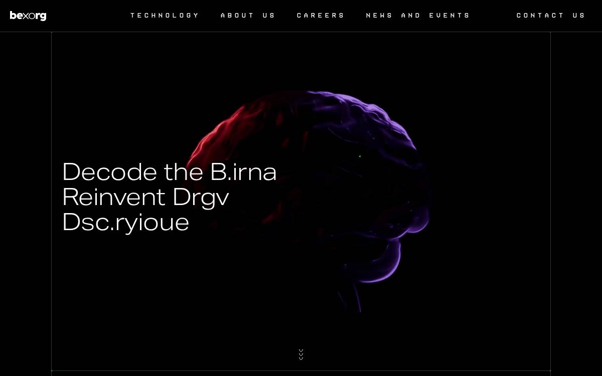 Bexorg website preview