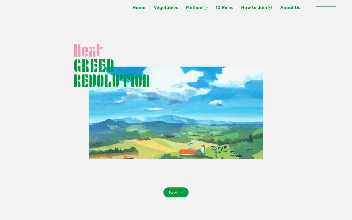 BG website preview