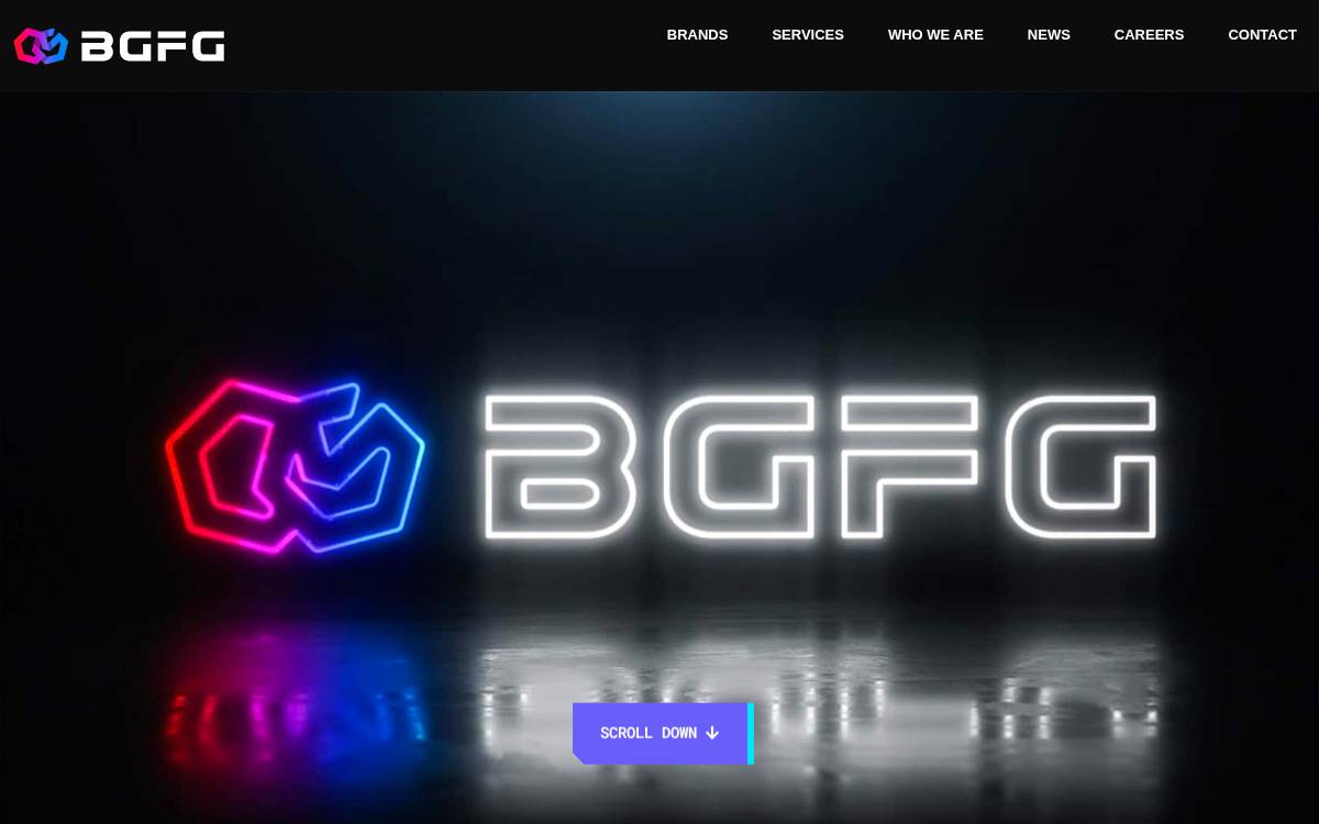 BGFG website preview