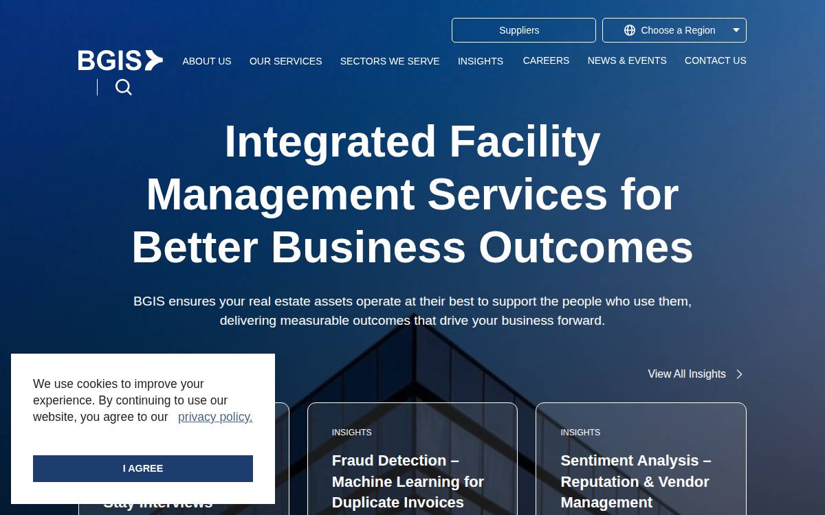 BGIS website preview
