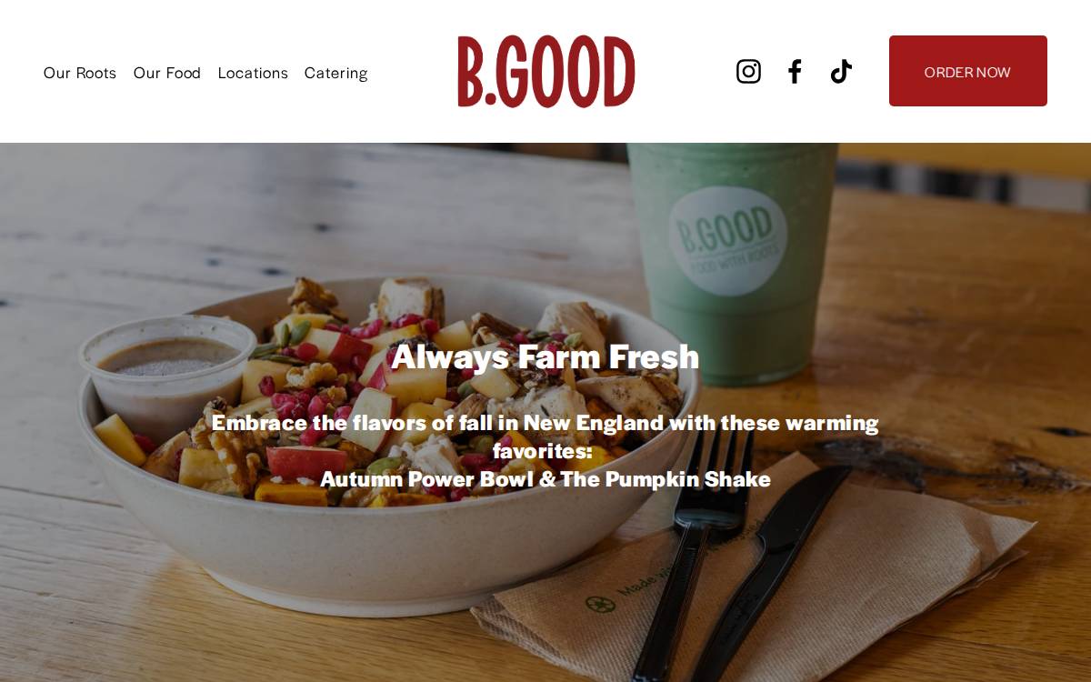 Bgood website preview