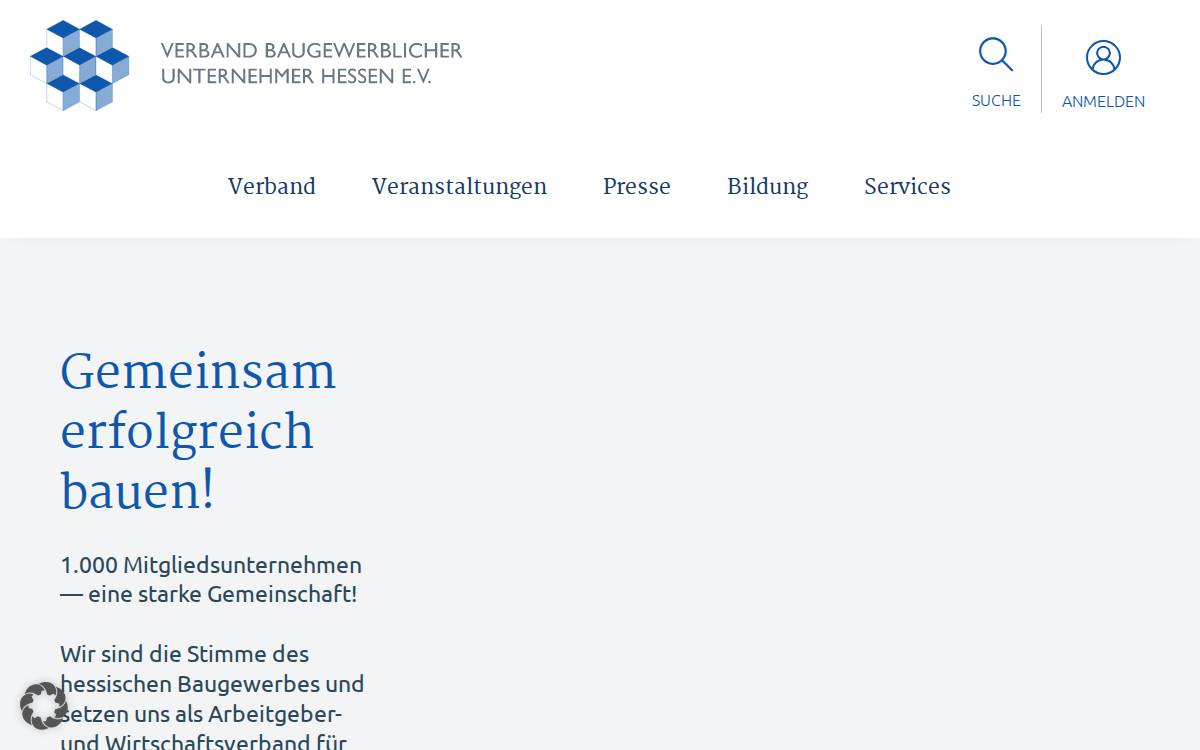Bgvht website preview