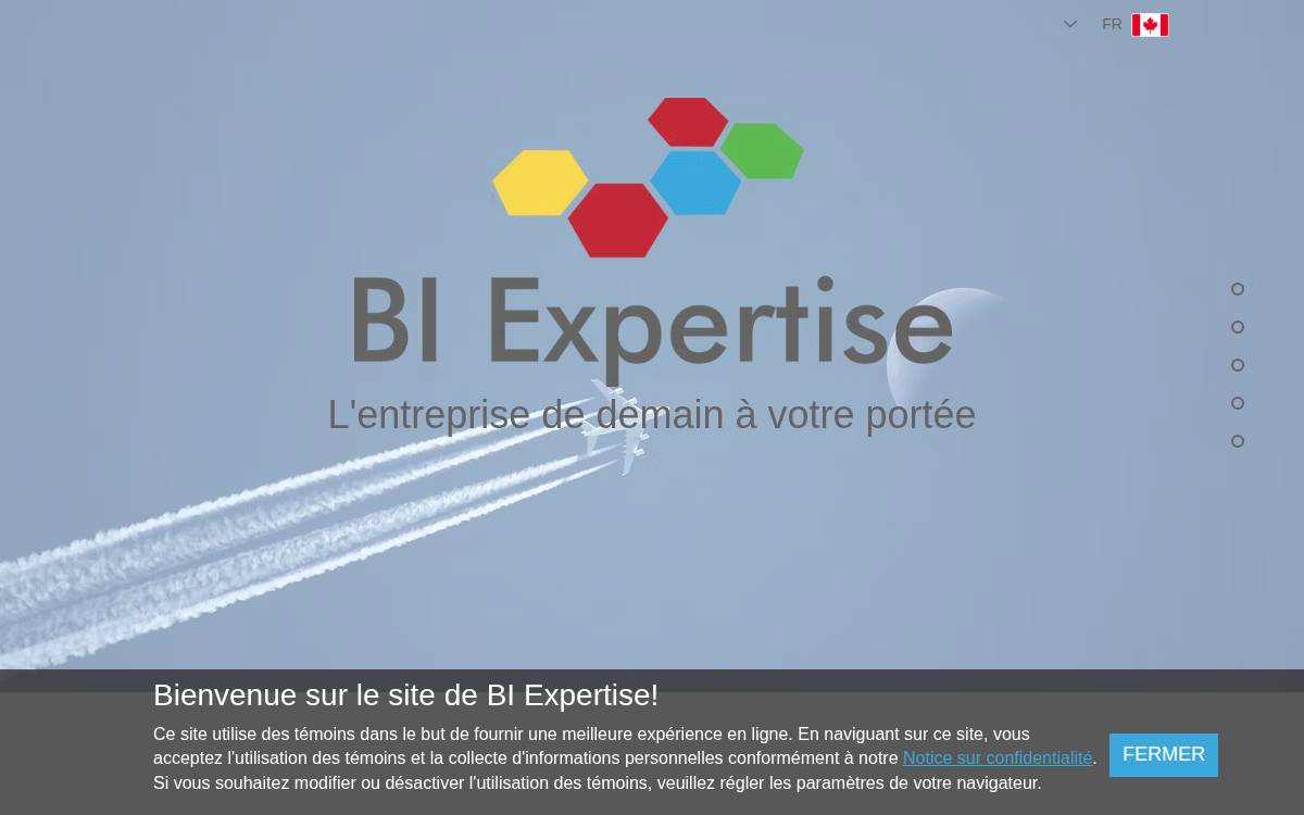 BI Expertise Inc website preview