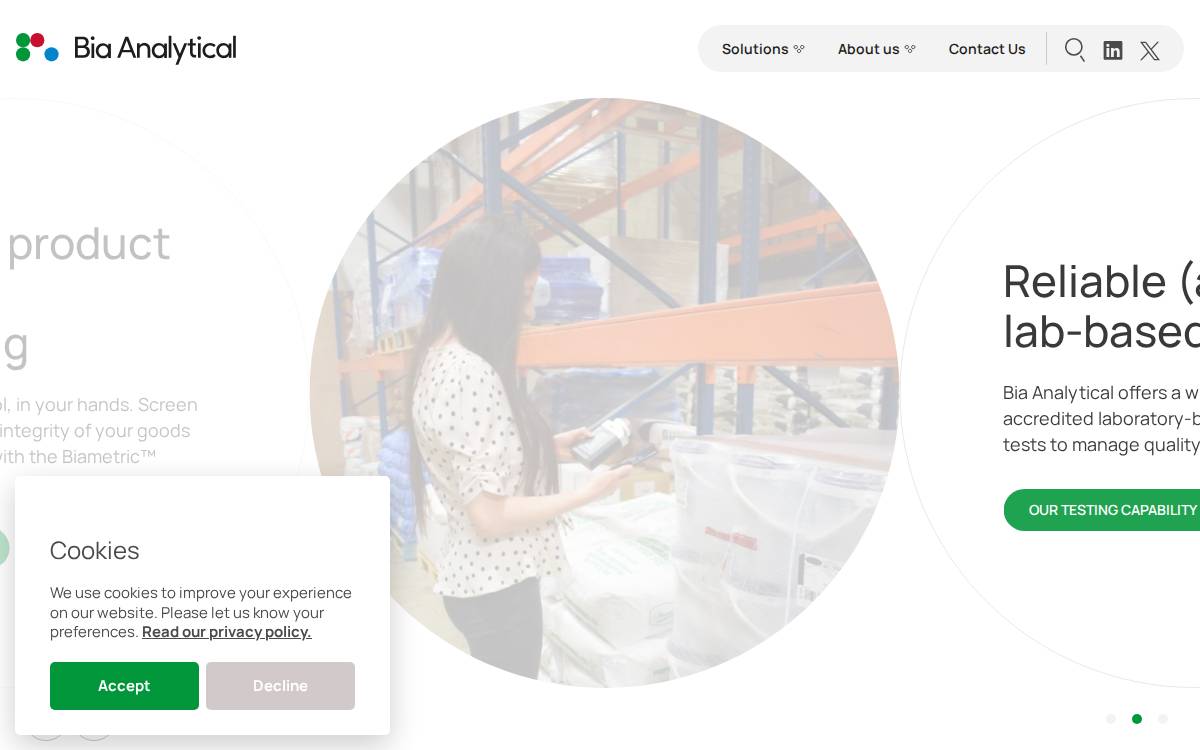 Bia Analytical website preview