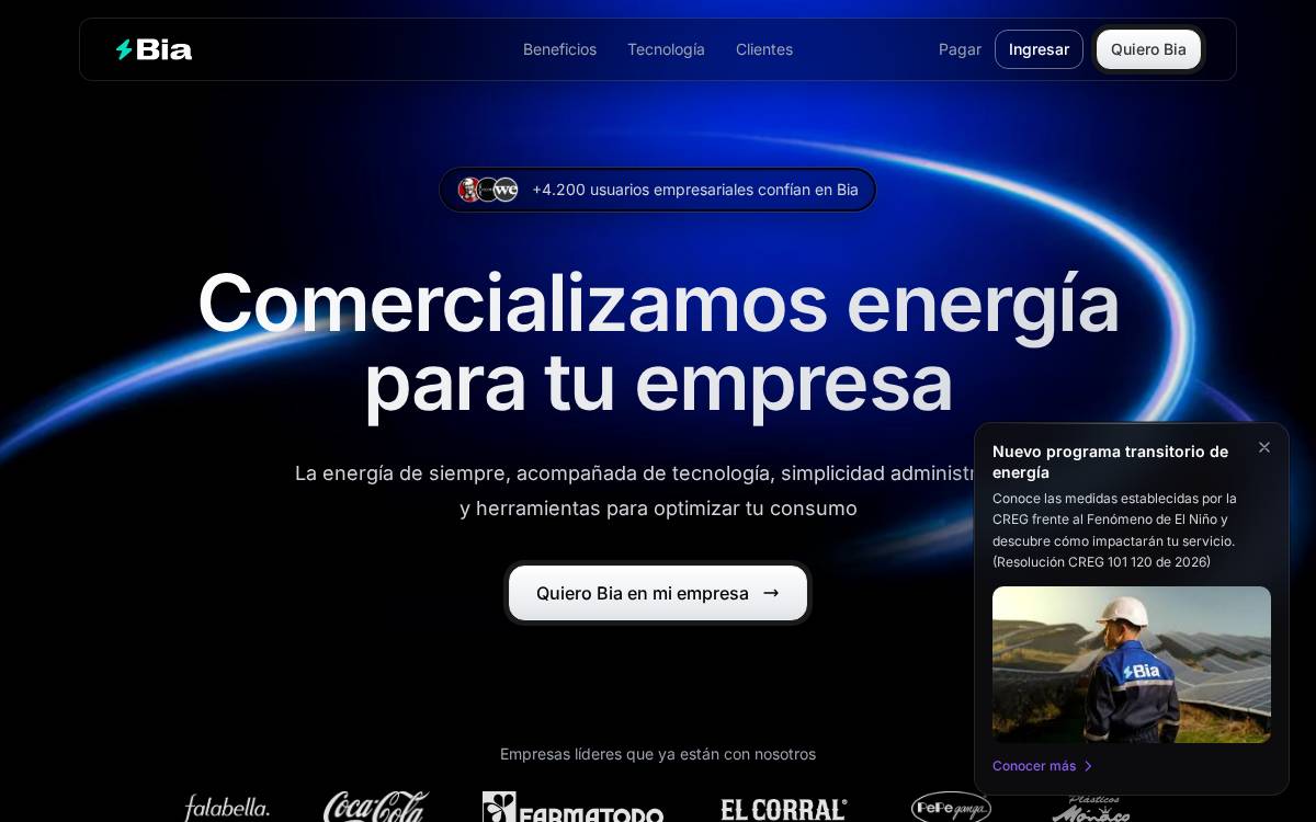 Bia website preview