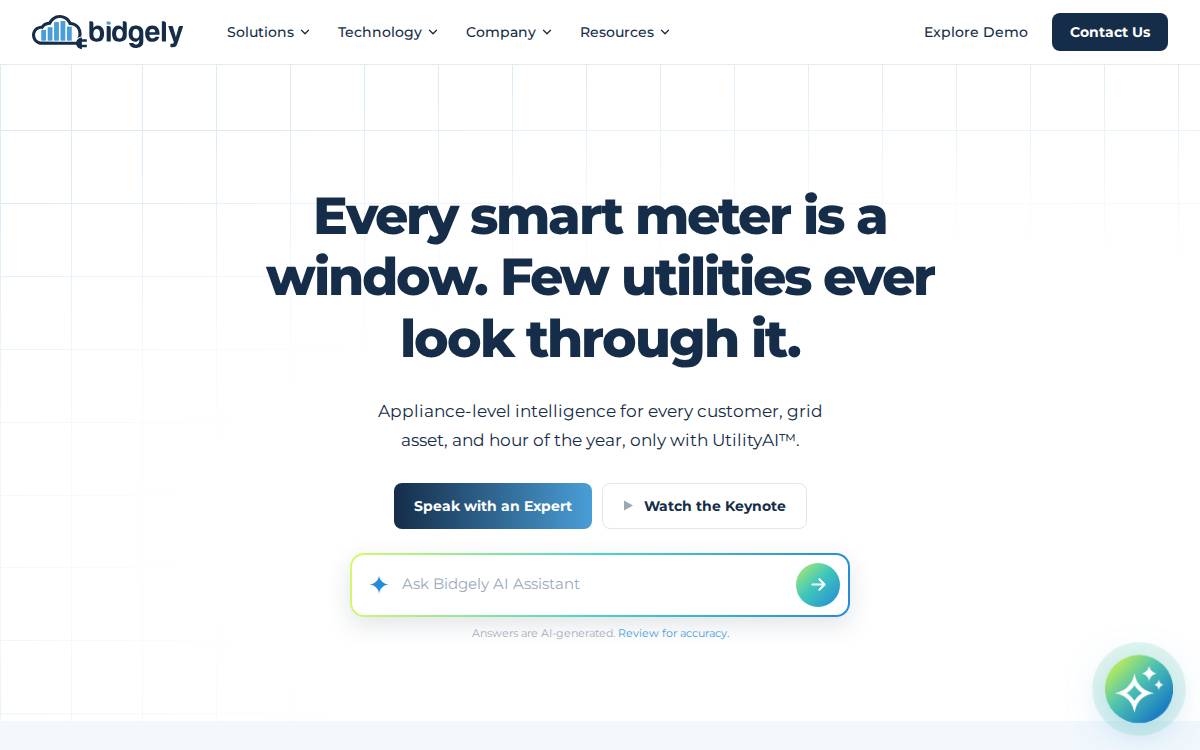 bidgely website preview