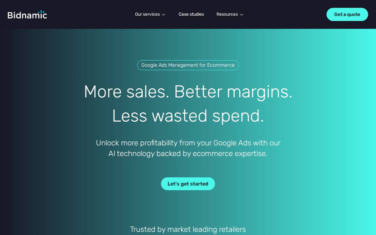 Bidnamic website preview