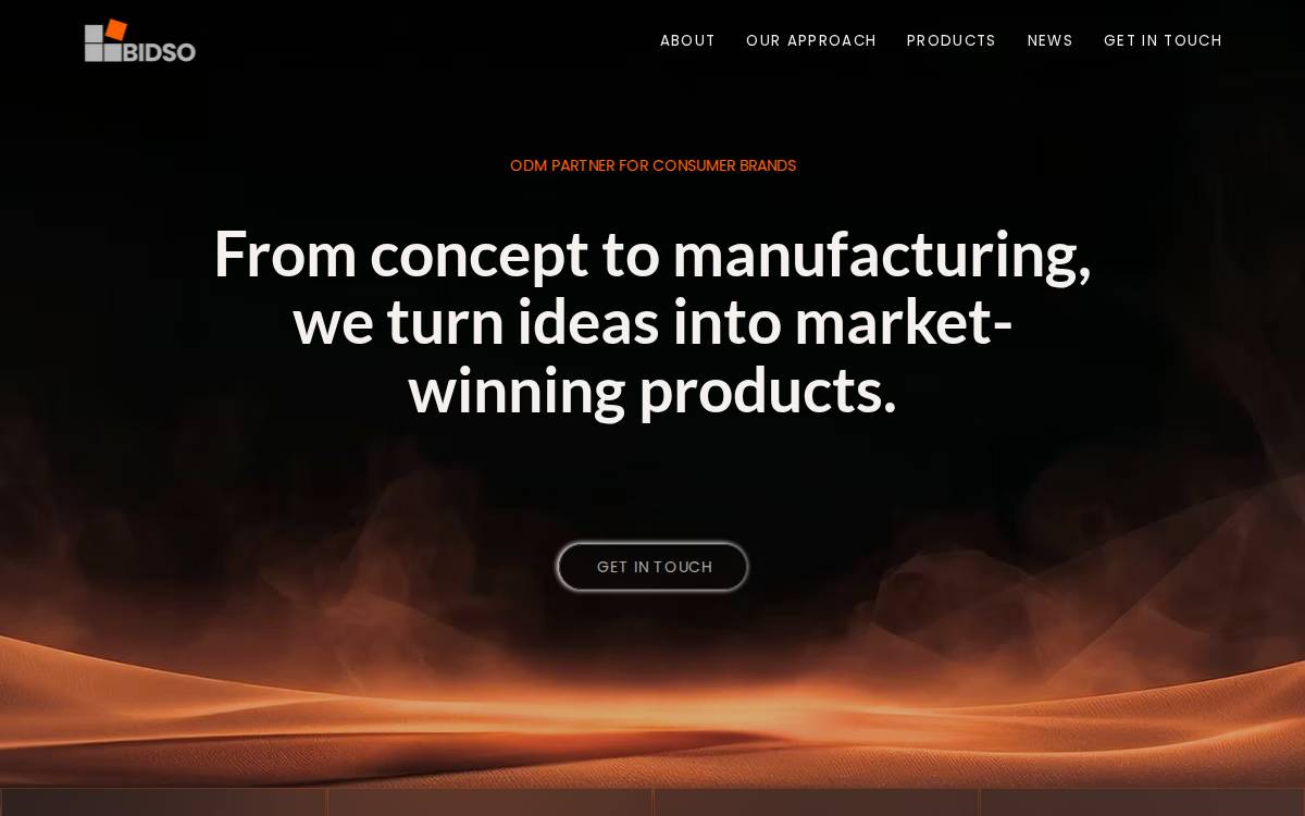 Bidso website preview