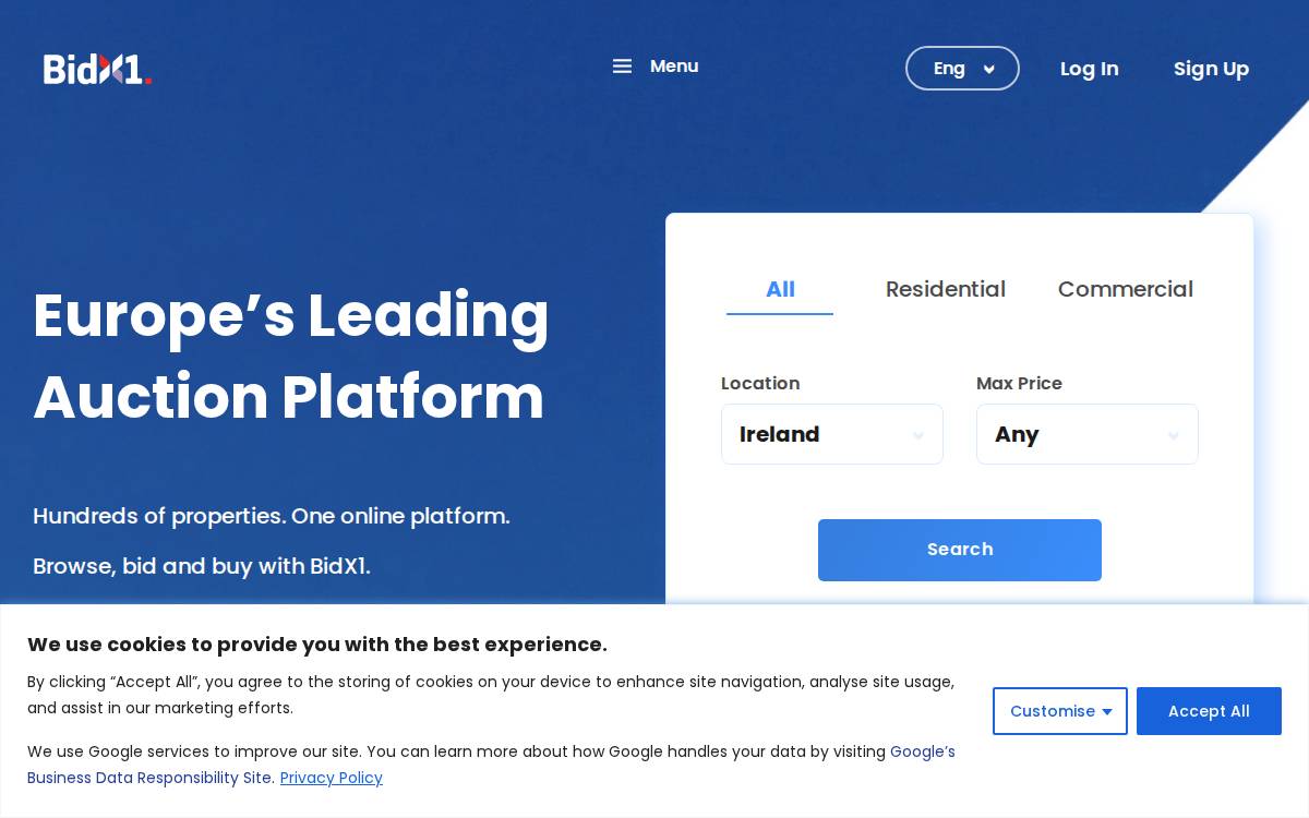 BidX1 website preview