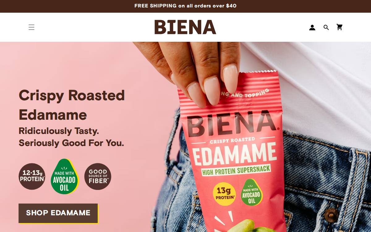 Biena website preview