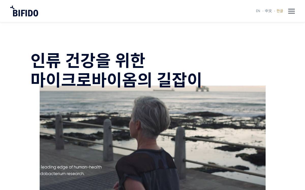 Bifido website preview