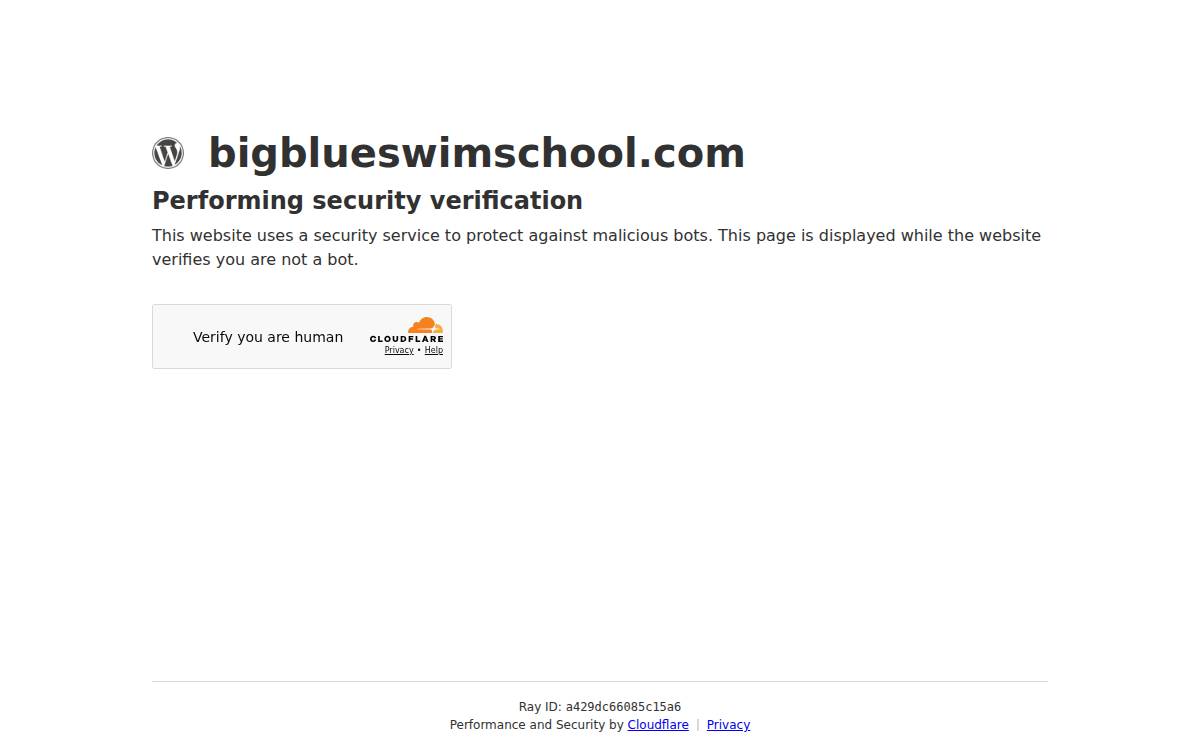 BIG Blue Swim School website preview