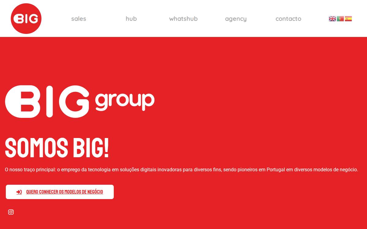 Big Group website preview