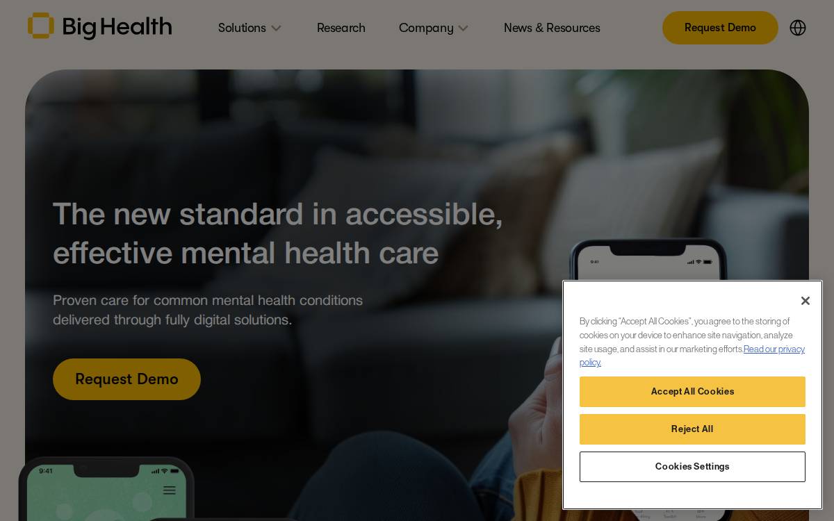 Big Health website preview