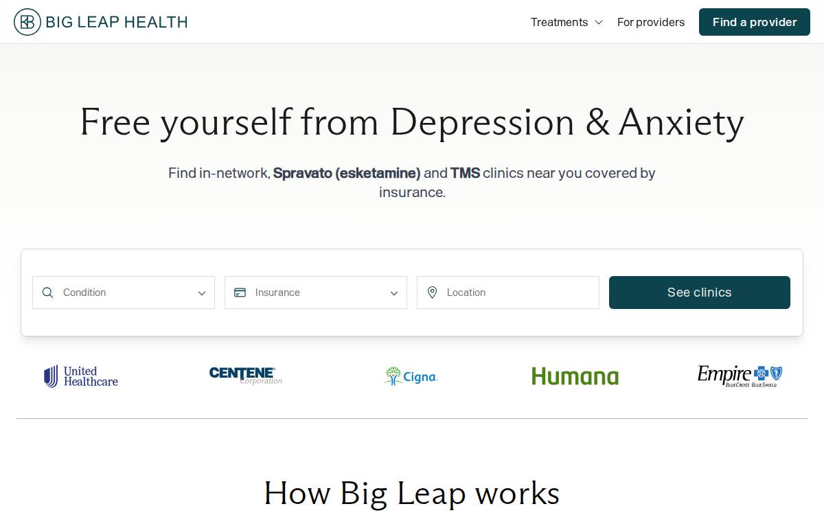 Big Leap Health website preview