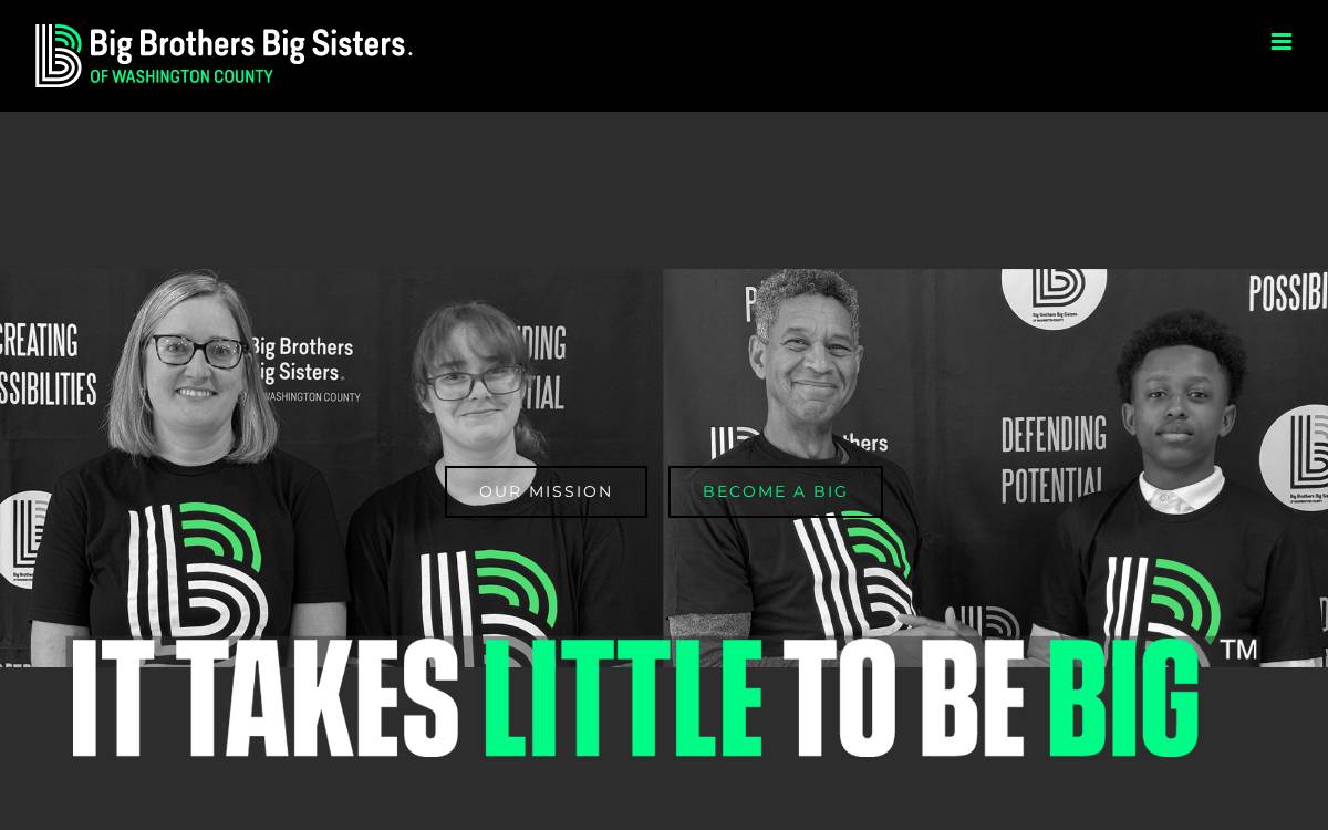 Big Sister website preview