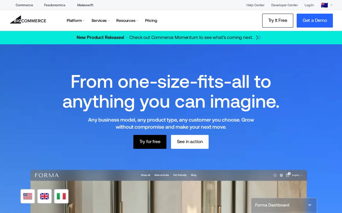 Bigcommerce website preview