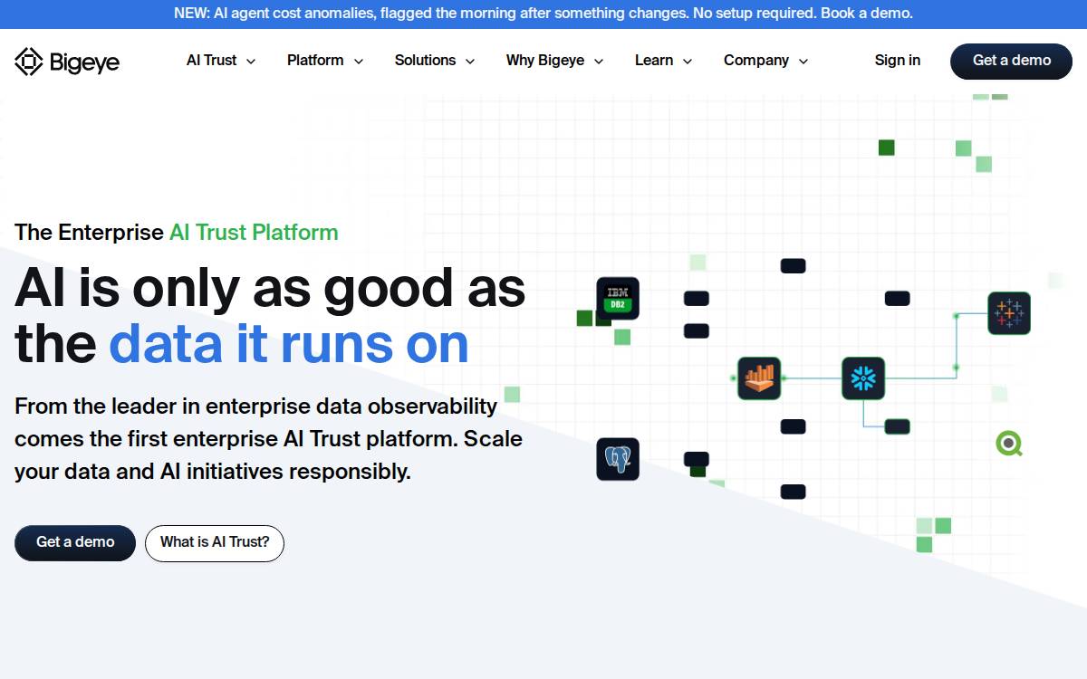 BigEye website preview