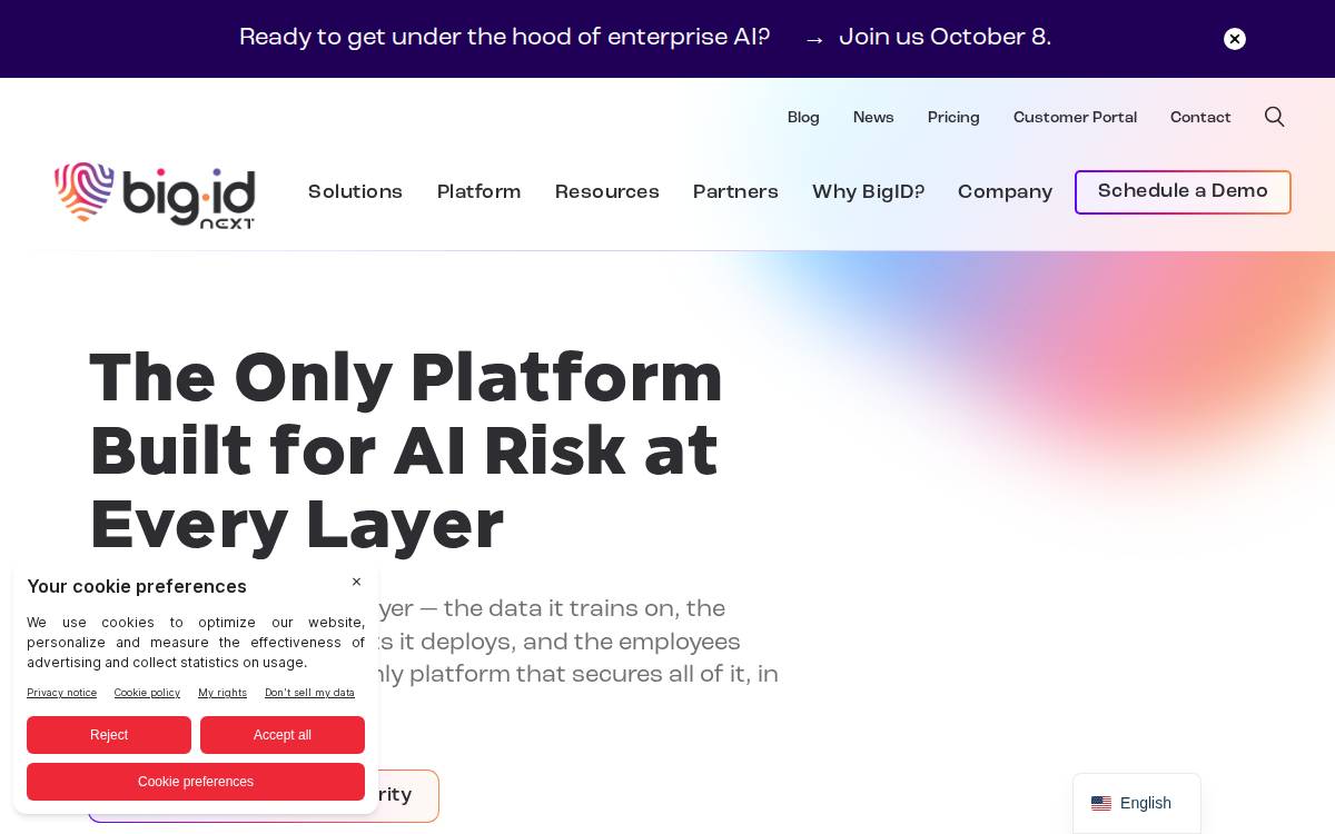 BigID website preview