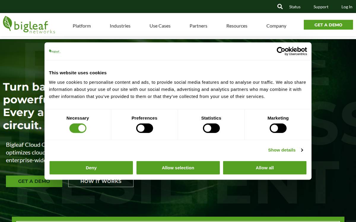 Bigleaf Networks website preview