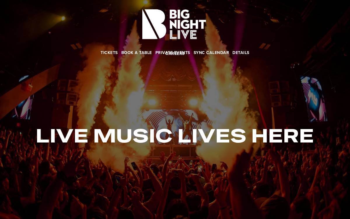 Bignightlive Pro Developer website preview