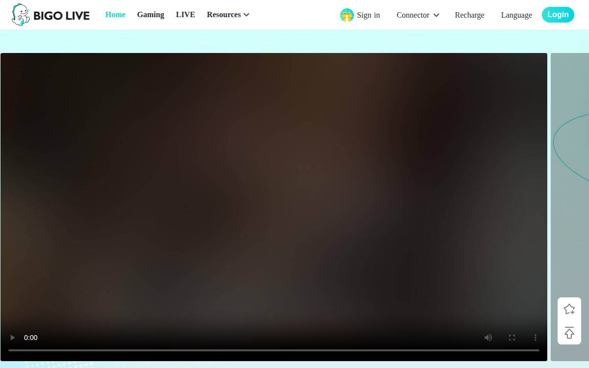 Bigo website preview