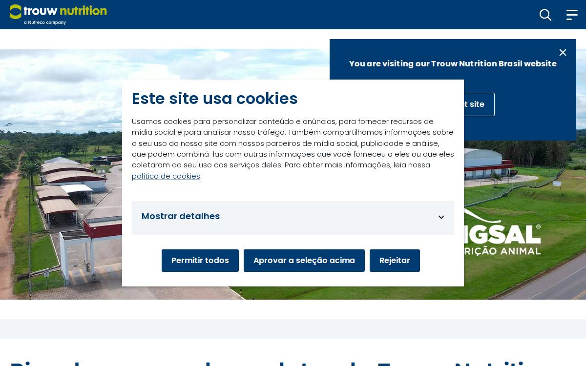 Bigsal website preview