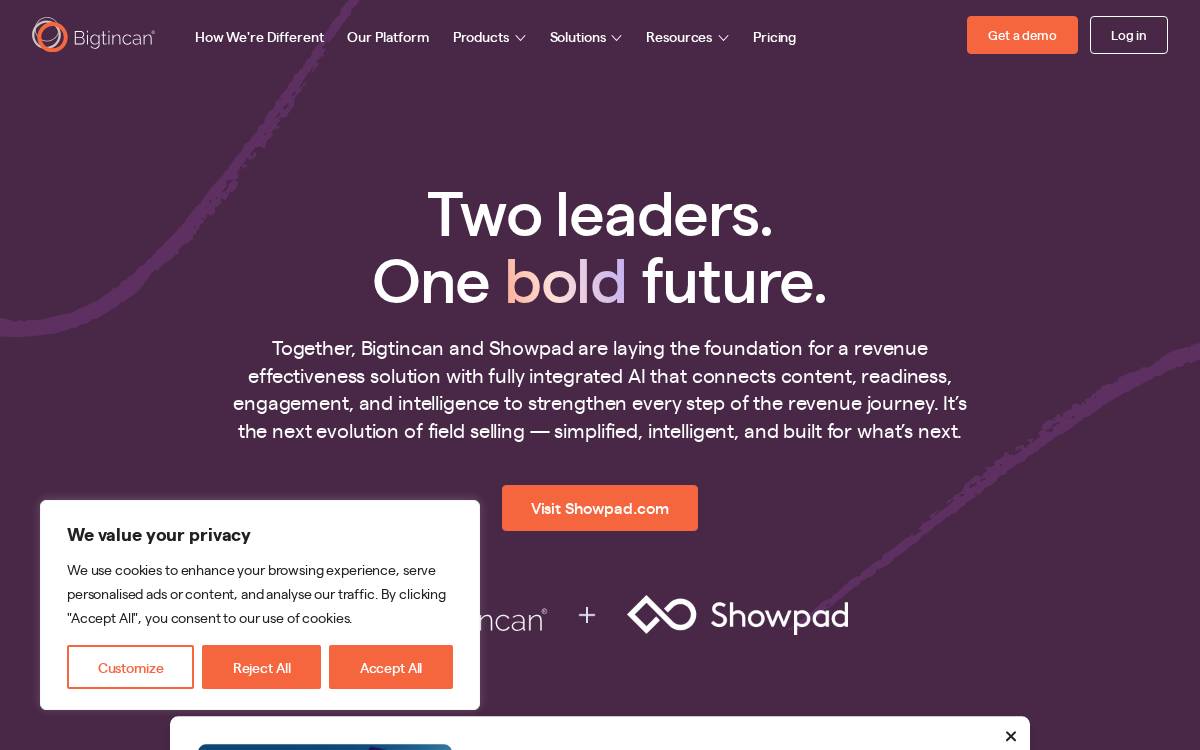 Bigtincan website preview