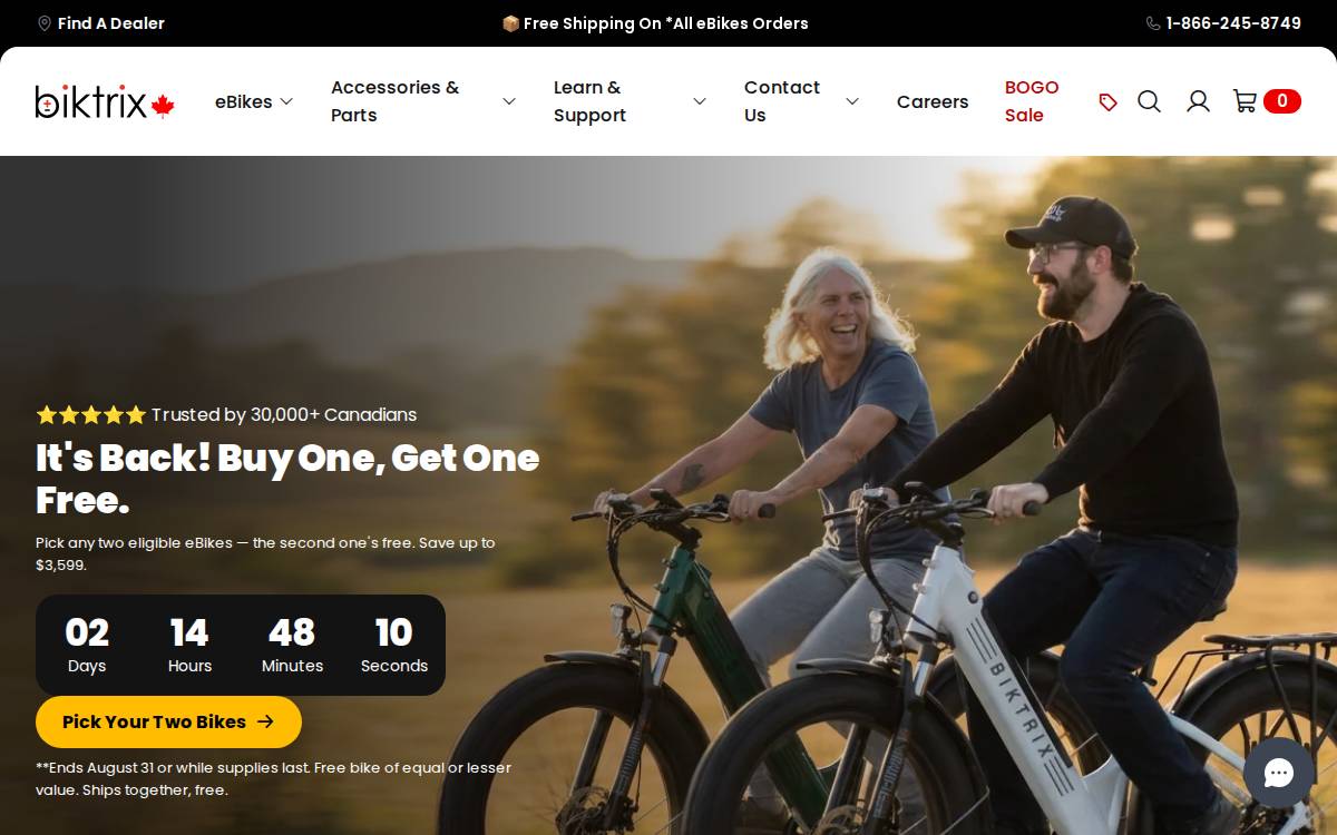 Biktrix website preview
