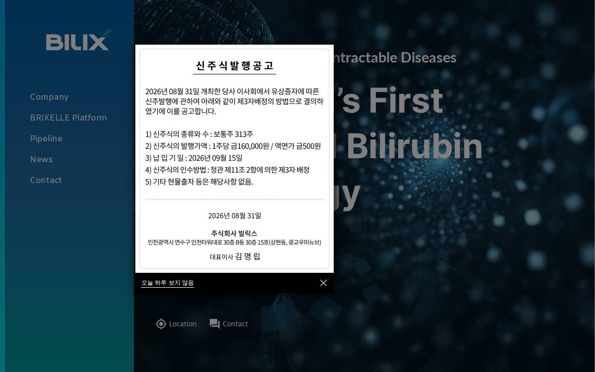 Bilix website preview