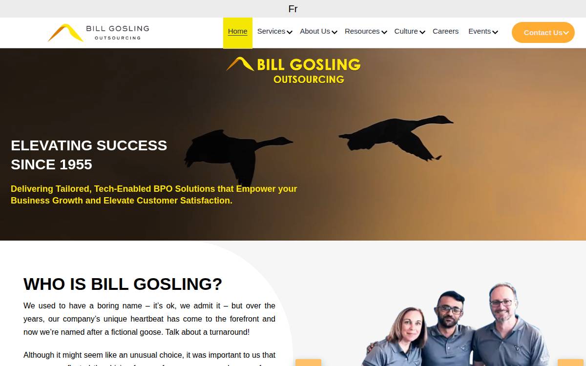 Bill Gosling Outsourcing website preview
