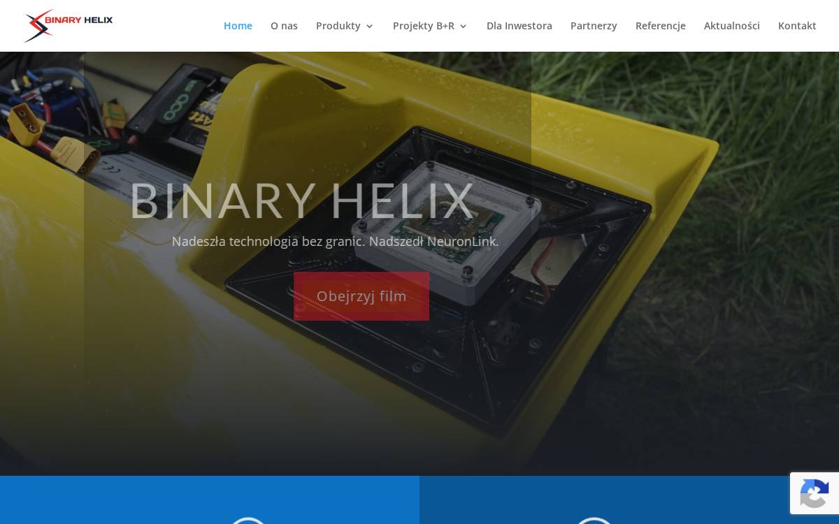 Binary Helix website preview
