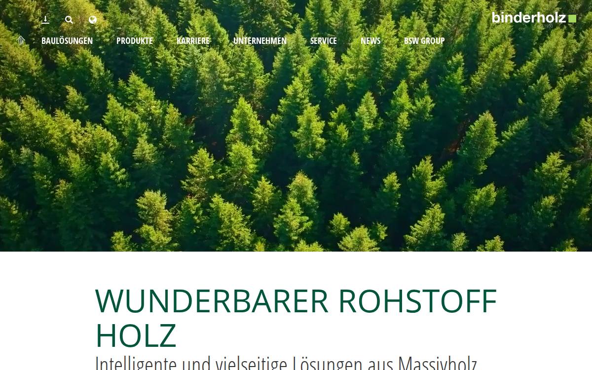 Binderholz website preview