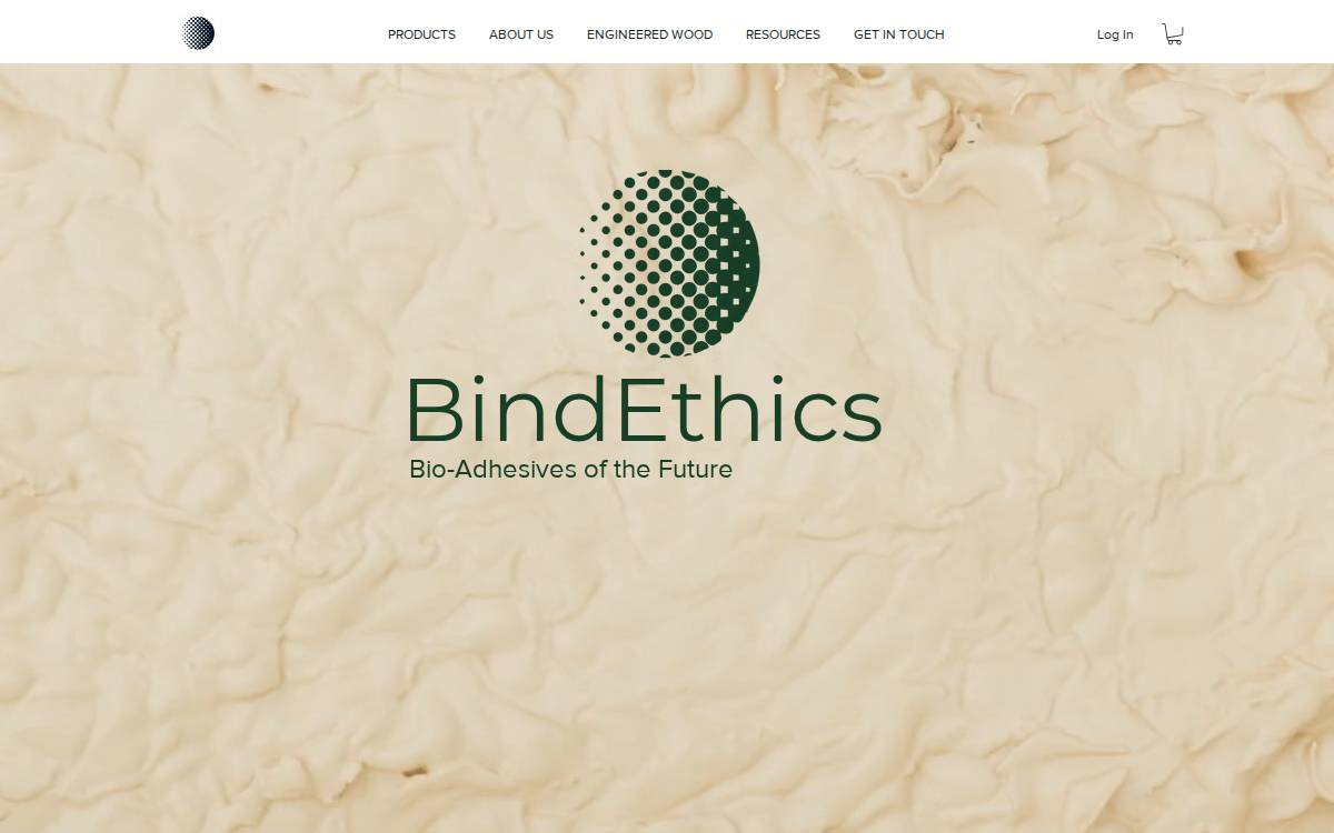 Bindethics website preview