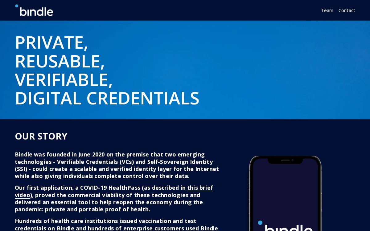 Bindlesystems website preview