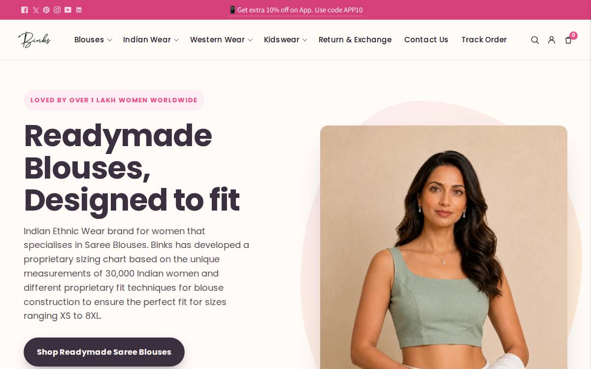 Binks website preview