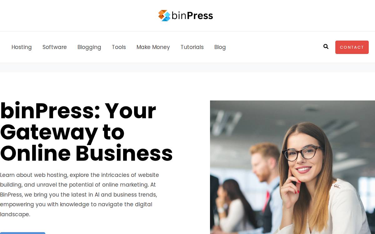 Binpress website preview