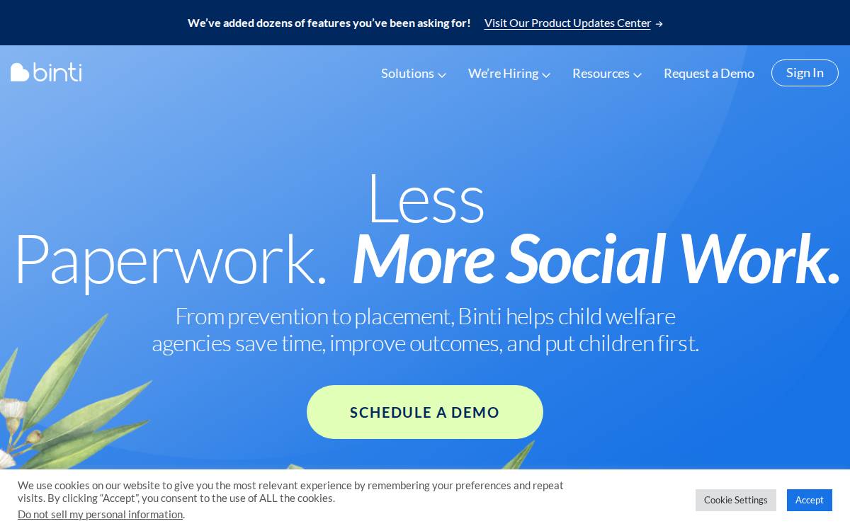Binti website preview