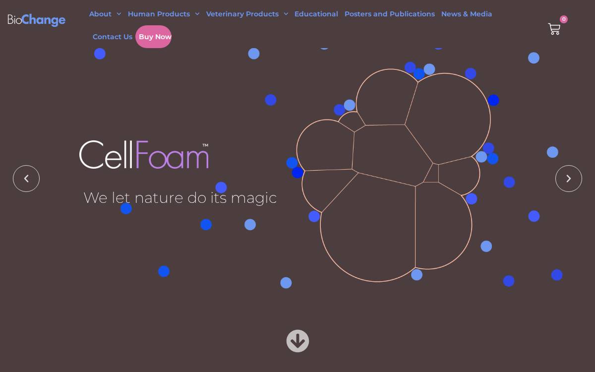 Biochange website preview