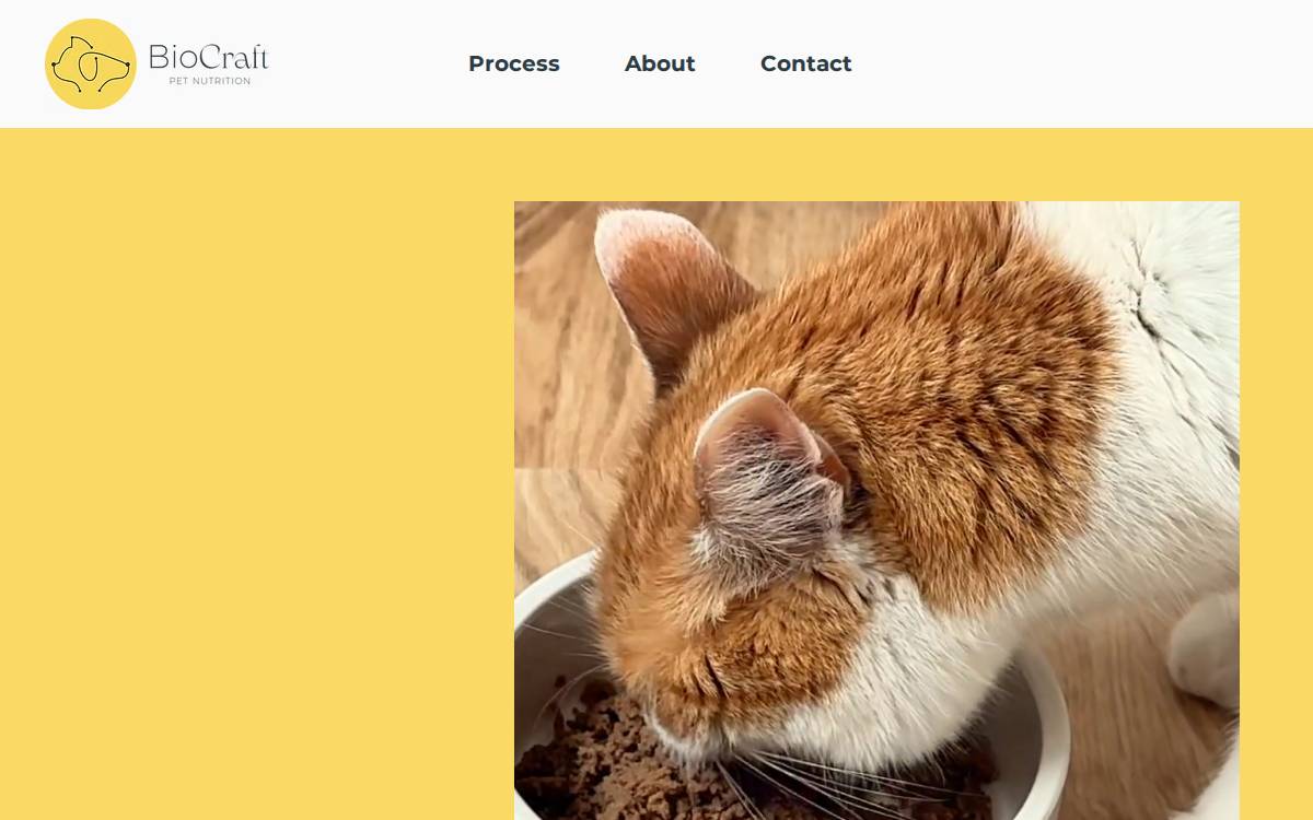 Biocraftpet website preview