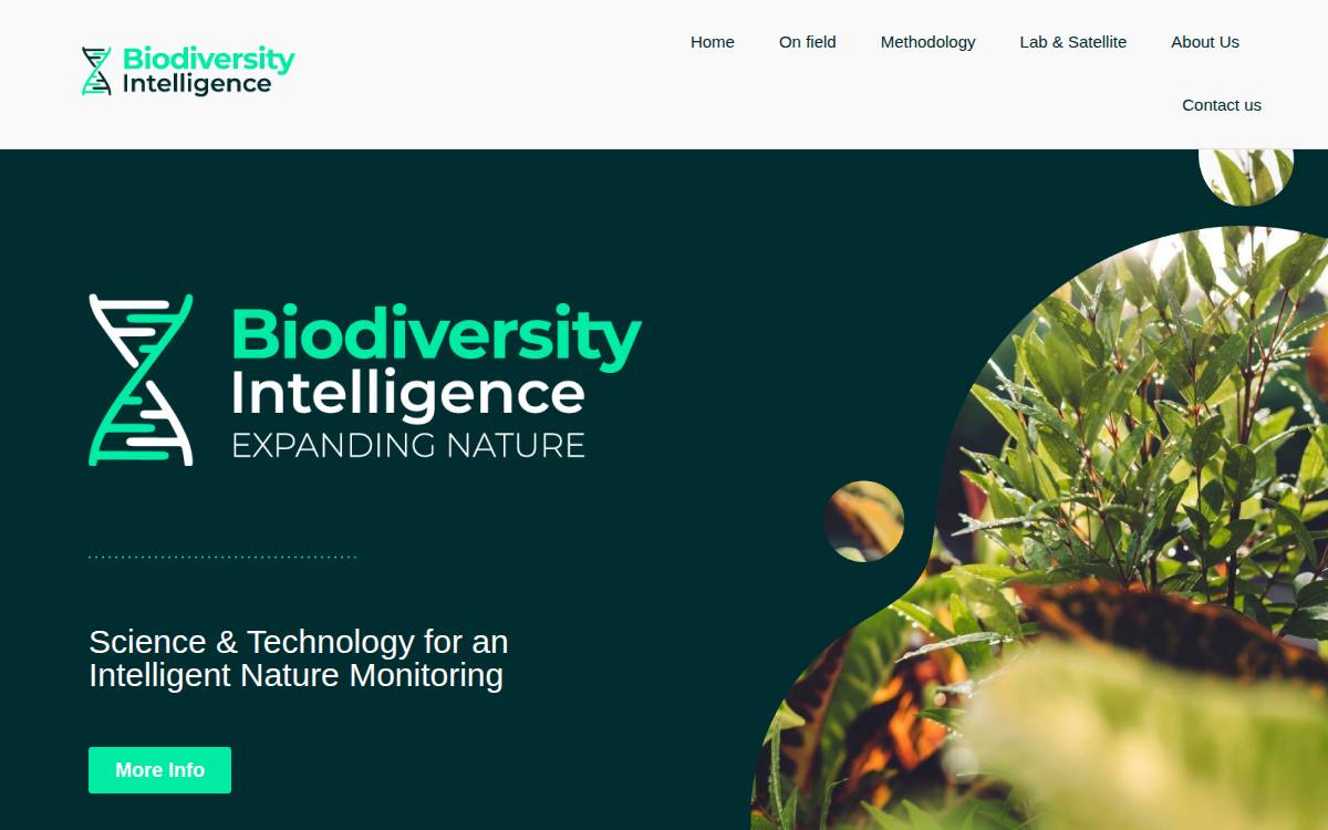 Biodiversityintell website preview