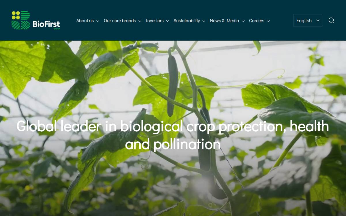 BioFirst Group website preview