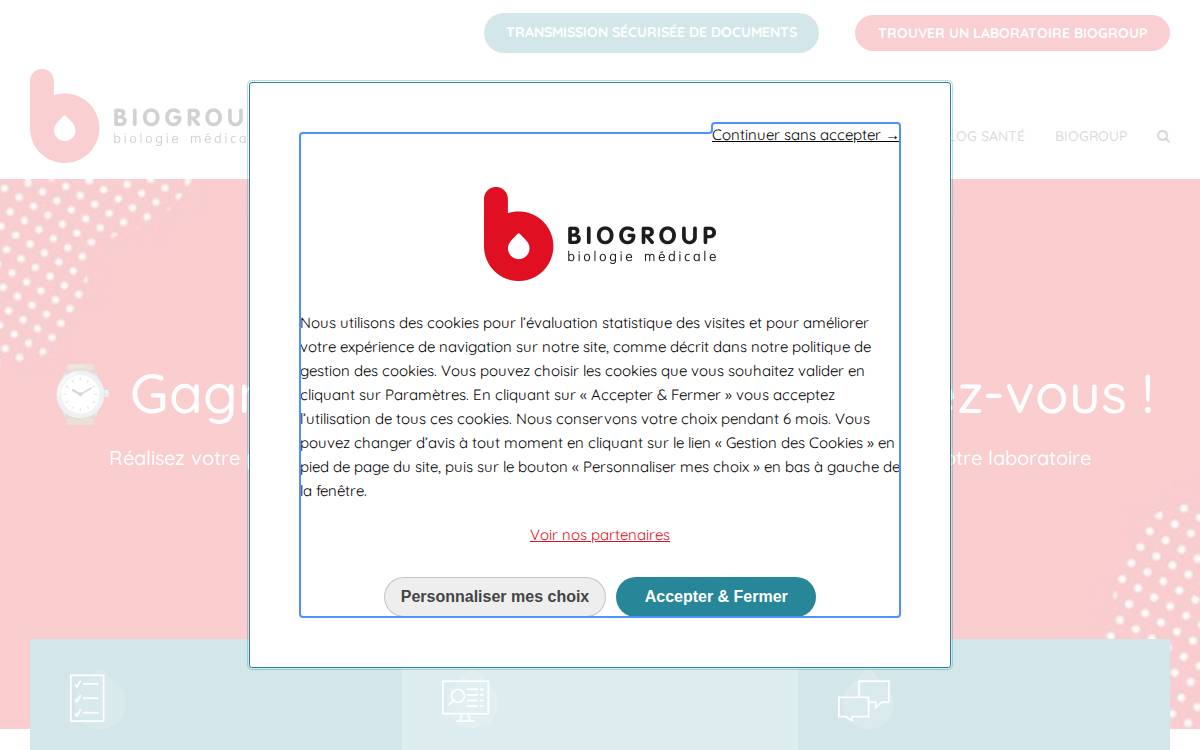 Biogroup-LCD website preview