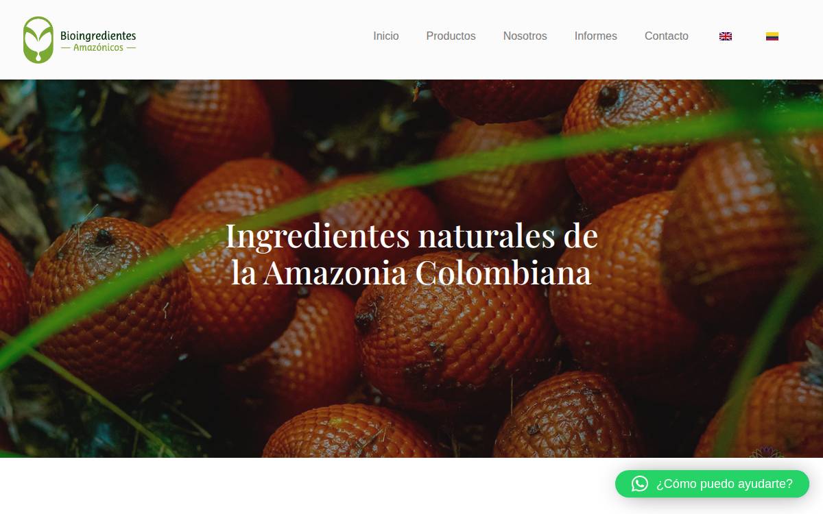 Bioingredientes Amazónicos website preview