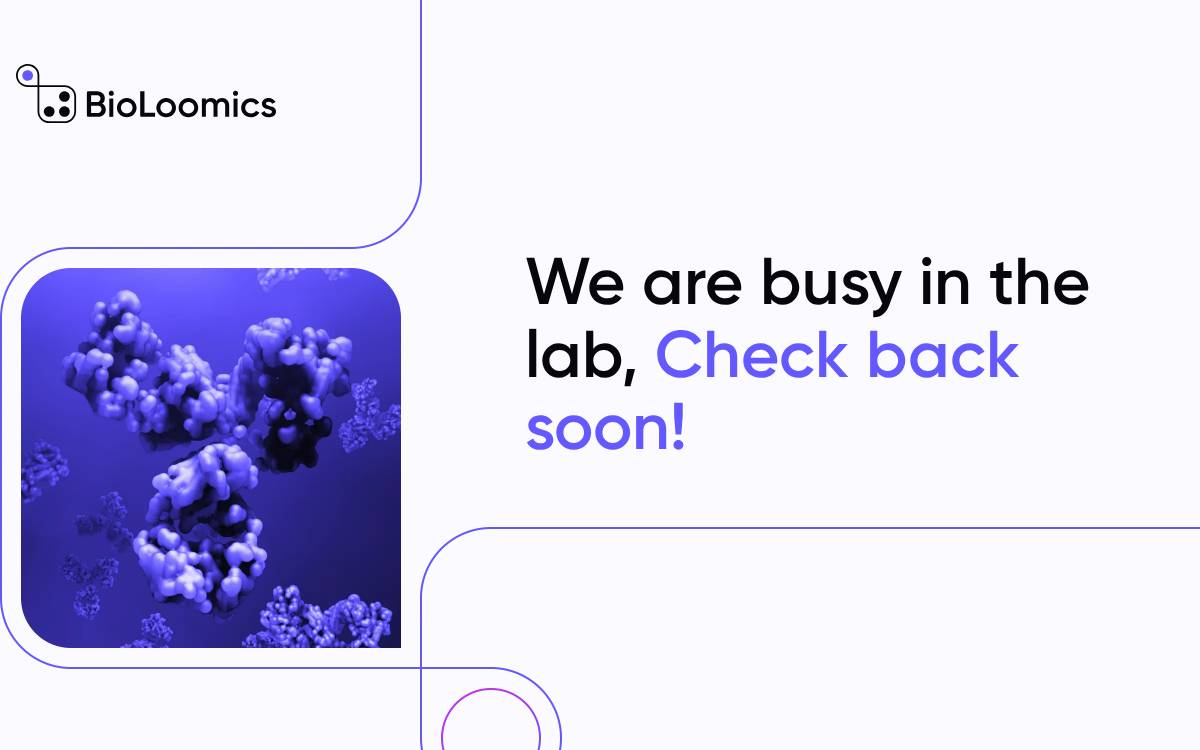 BioLoomics website preview