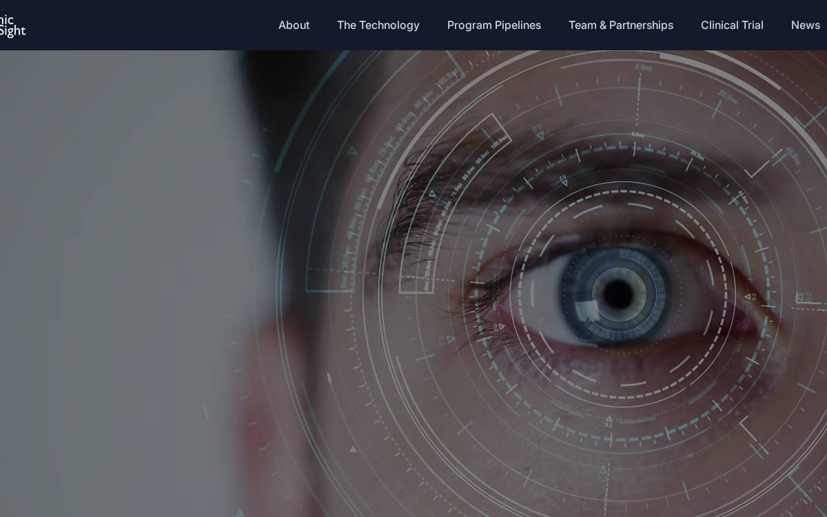 Bionicsightllc website preview