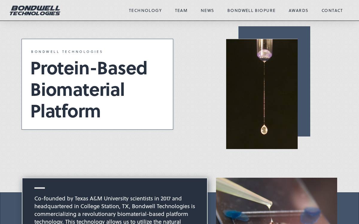 BioPure website preview