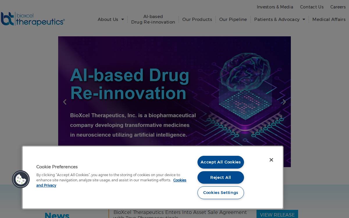 BioXcel website preview