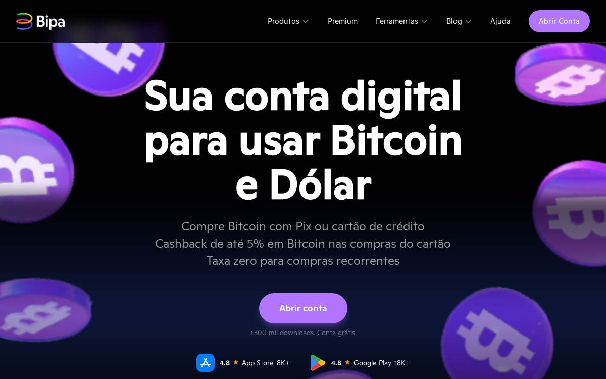 Bipa website preview
